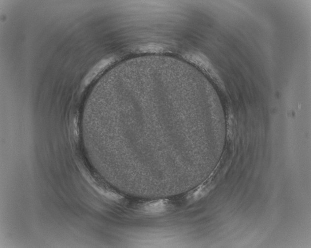 X0000070340116200606301750