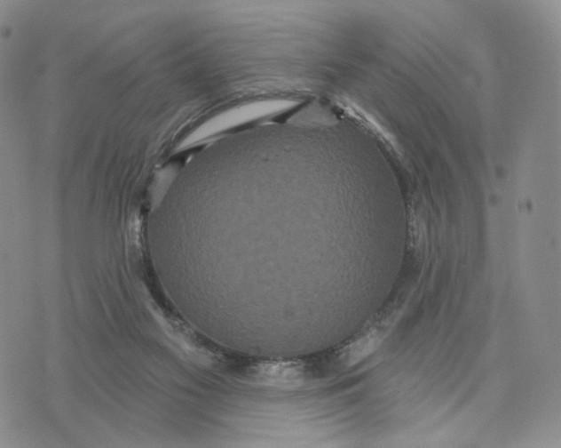 X0000070340117200606301750