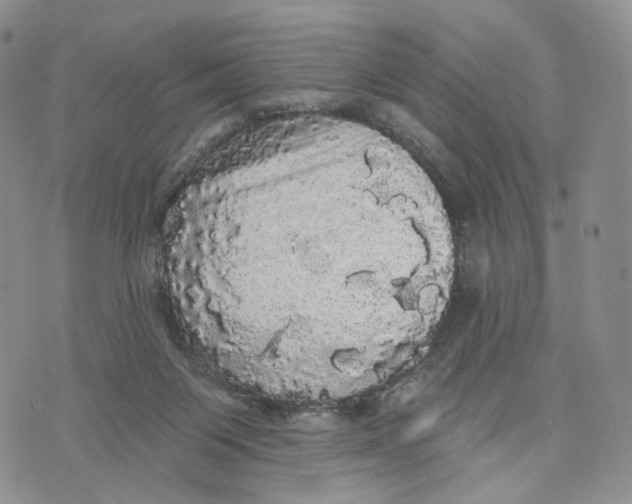 X0000070340119200606301750