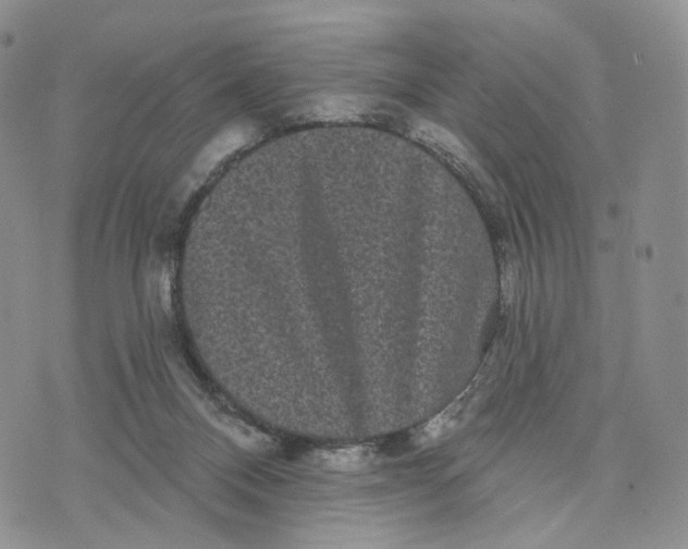 X0000070340120200606301750