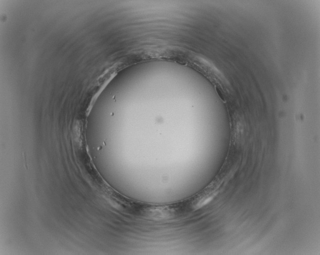 X0000070340121200606301750