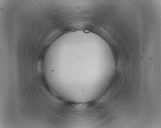 X0000070340122200606301750