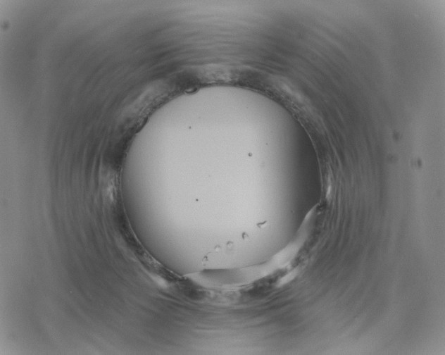 X0000070340125200606301750