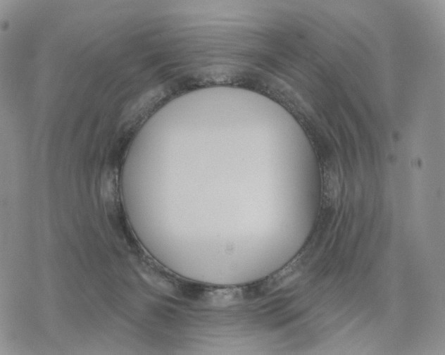 X0000070340126200606301750