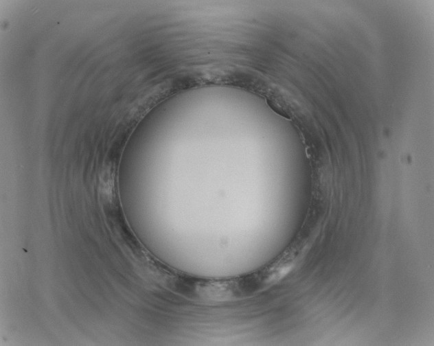 X0000070340129200606301750