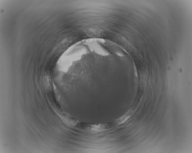 X0000070340130200606301750