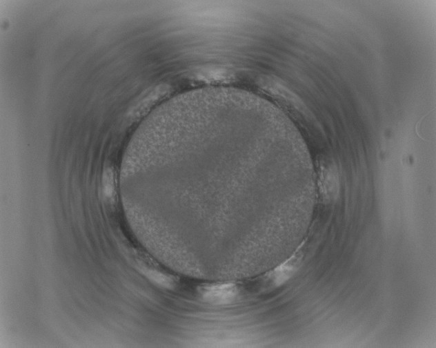 X0000070340132200606301750