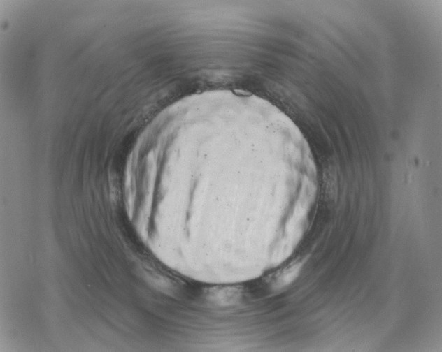 X0000070340135200606301750