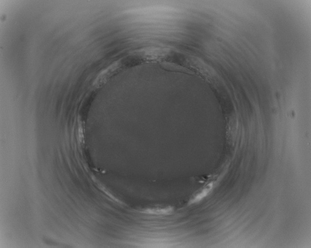 X0000070340137200606301750