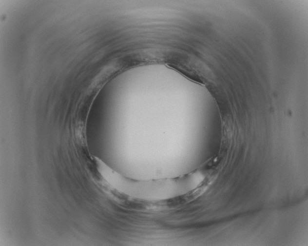 X0000070340141200606301750