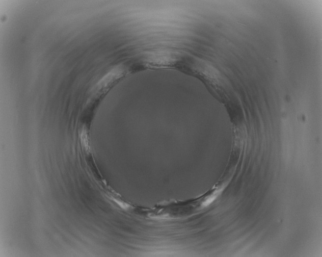 X0000070340143200606301750