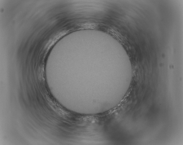 X0000070340146200606301749