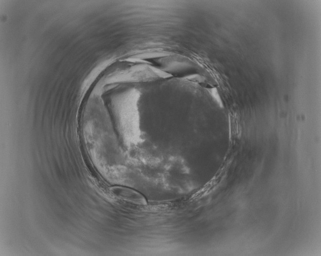 X0000070340147200606301749