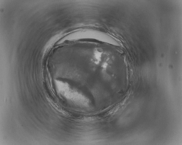 X0000070340149200606301749