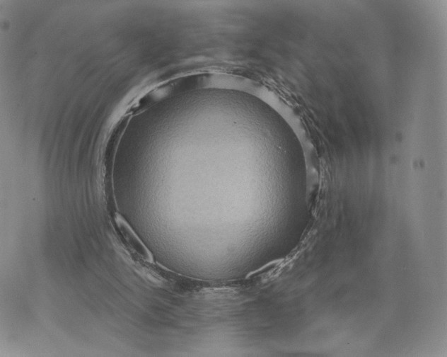 X0000070340150200606301749