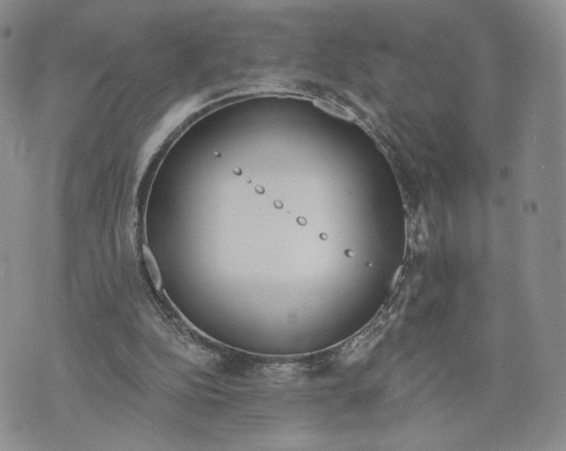 X0000070340152200606301749