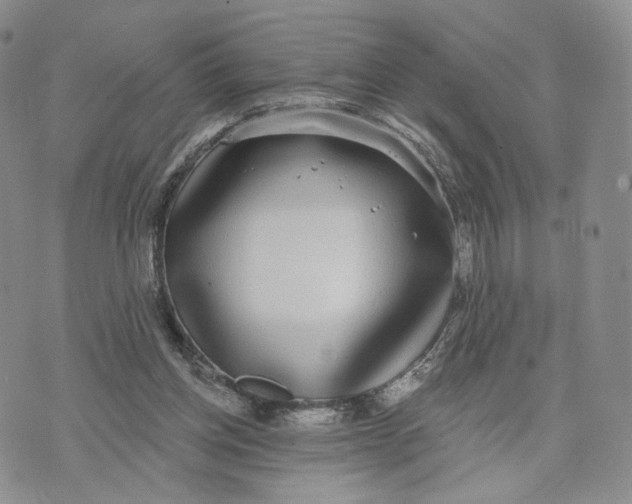 X0000070340158200606301749