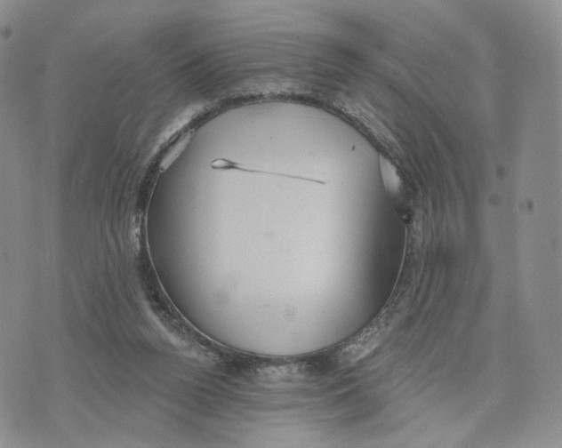 X0000070340160200606301749