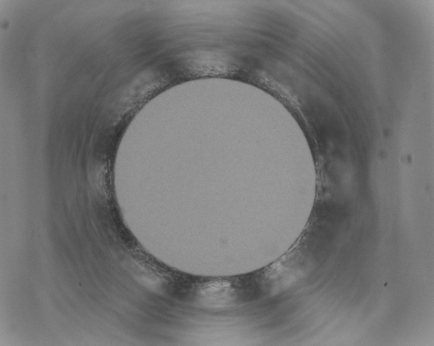 X0000070340162200606301749