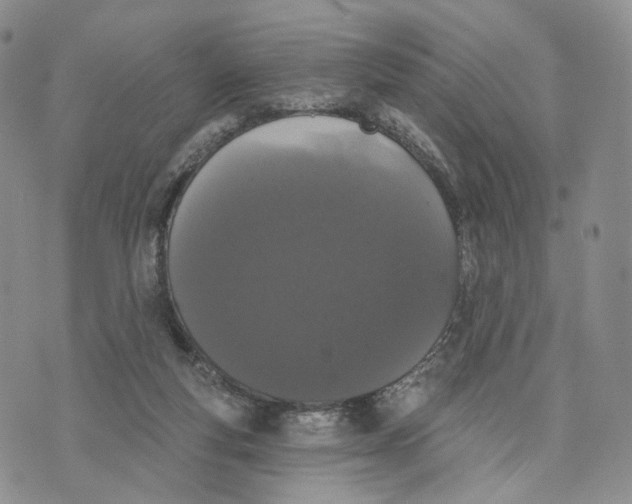 X0000070340163200606301749