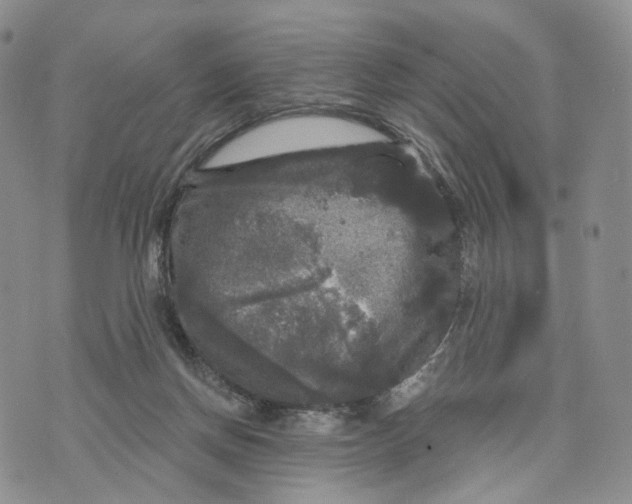 X0000070340166200606301749