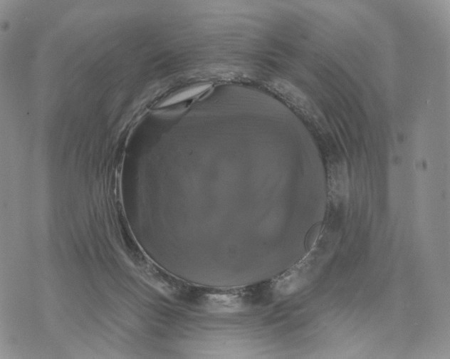 X0000070340167200606301749