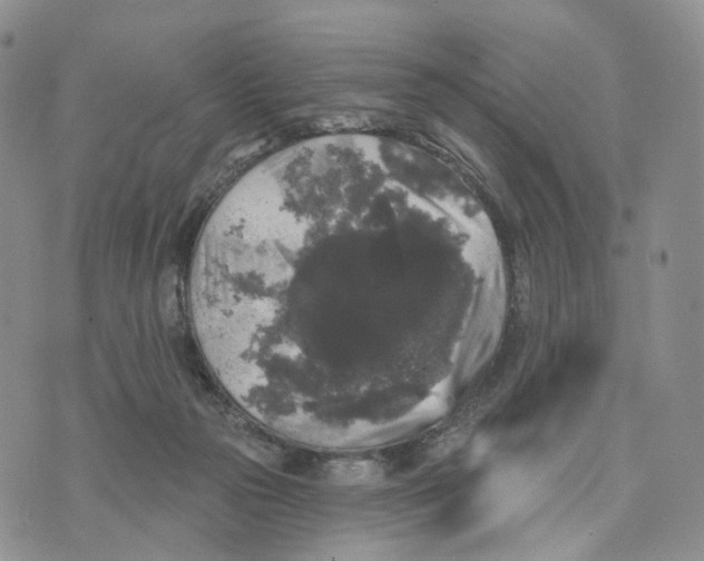 X0000070340169200606301749