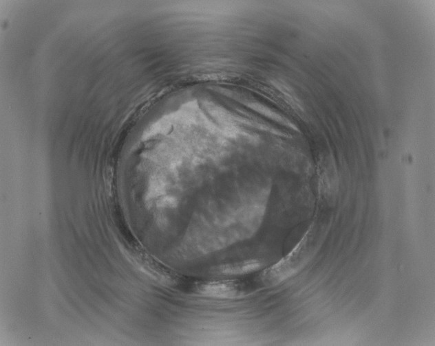 X0000070340171200606301750