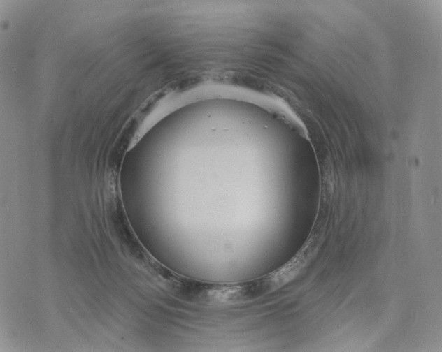 X0000070340172200606301750