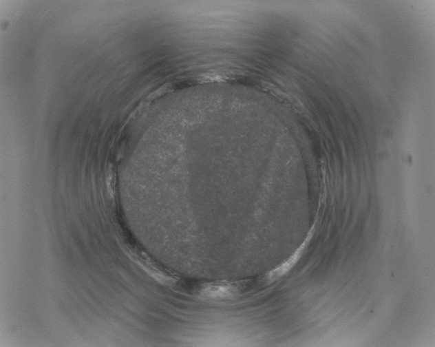 X0000070340174200606301750