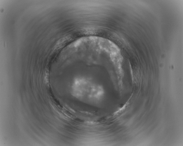 X0000070340175200606301750