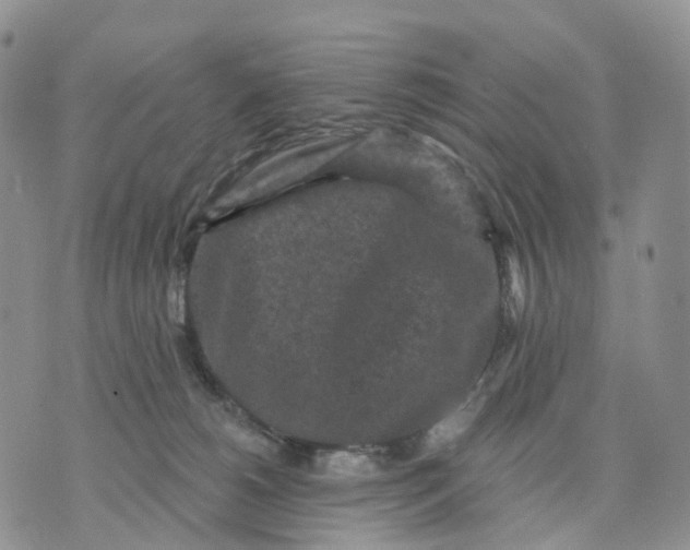 X0000070340180200606301750