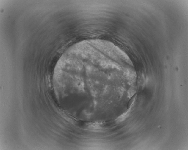 X0000070340182200606301750