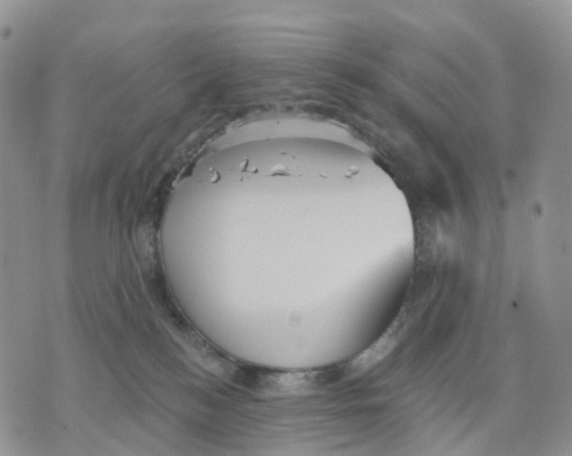 X0000070340184200606301750