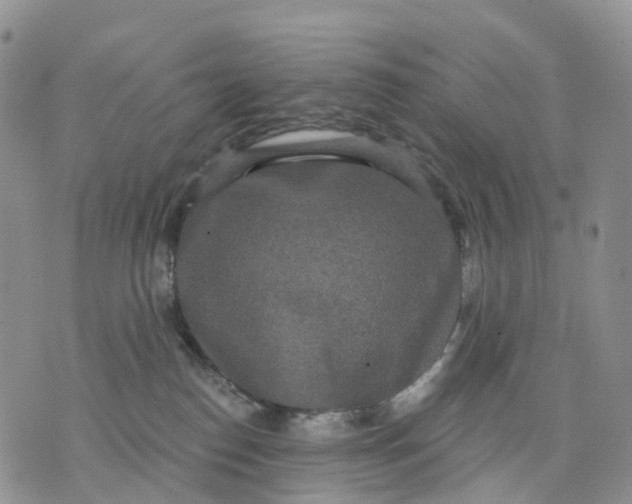 X0000070340186200606301750