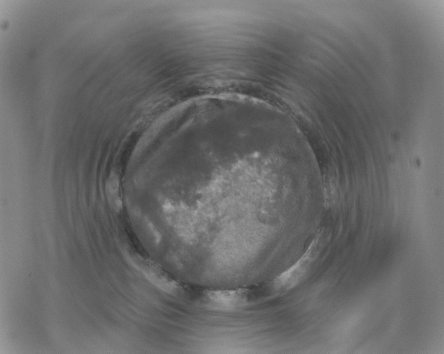 X0000070340187200606301750