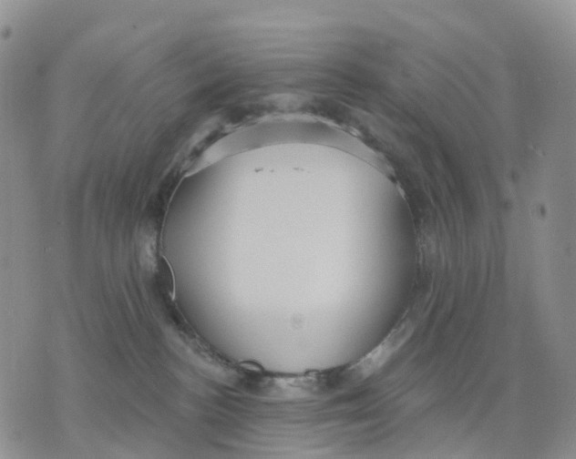 X0000070340188200606301750