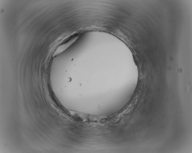 X0000070340193200606301749