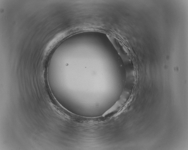 X0000070340197200606301749