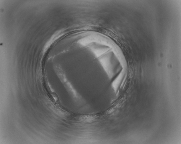 X0000070340198200606301749