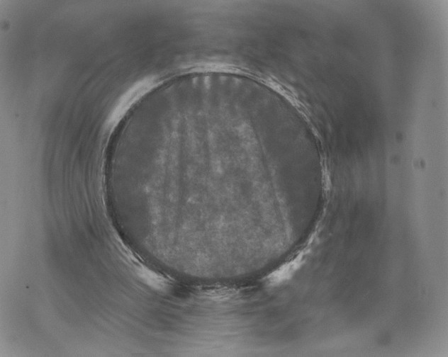 X0000070340199200606301749