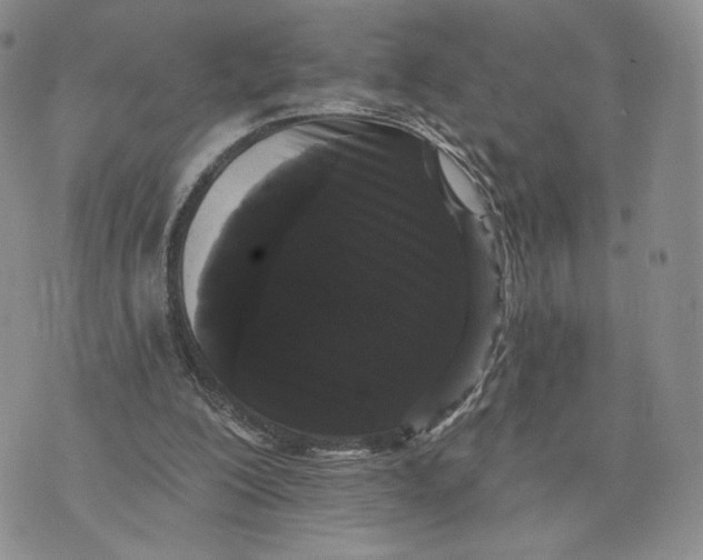 X0000070340200200606301749