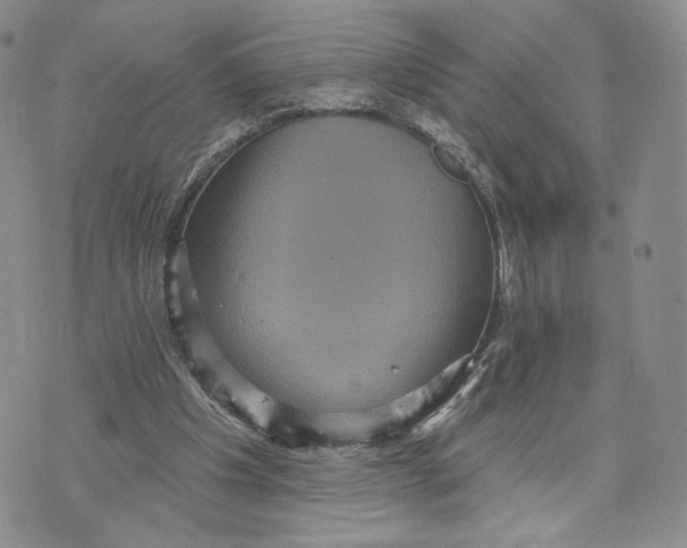 X0000070340201200606301749