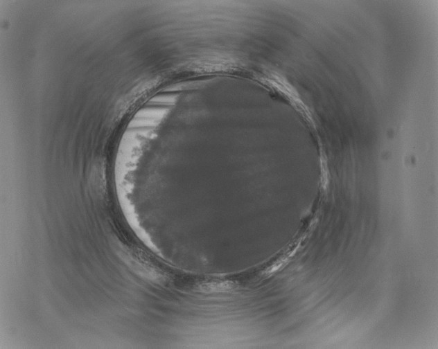 X0000070340202200606301749