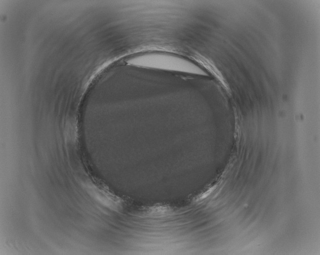 X0000070340204200606301749