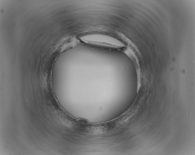 X0000070340209200606301749