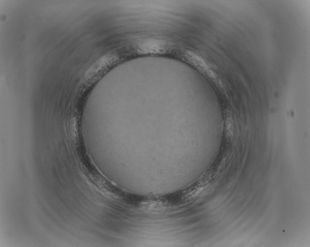 X0000070340211200606301749