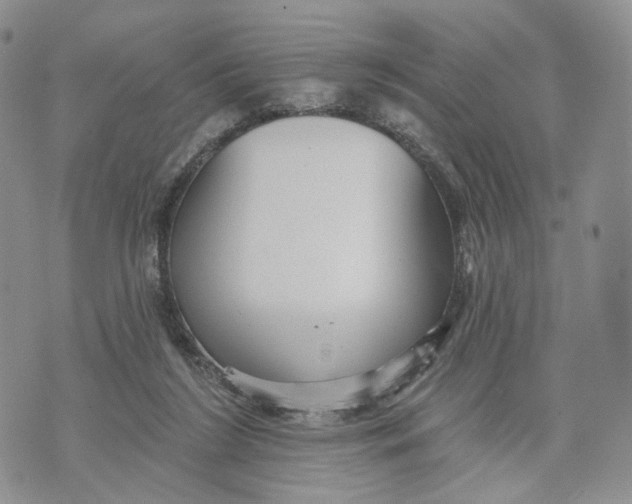 X0000070340212200606301749