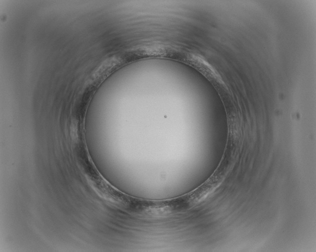 X0000070340213200606301749