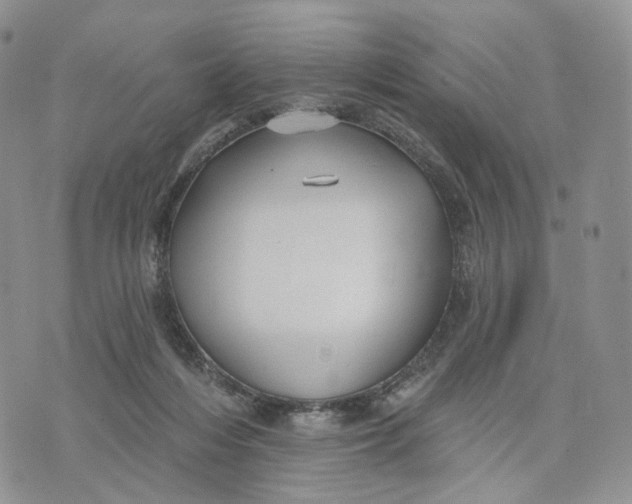 X0000070340216200606301749